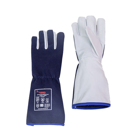 Pair of blue and white gloves on a white background