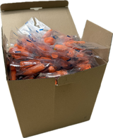 Earplugs – Soft, Disposable Hearing Protection - 200 Pairs
